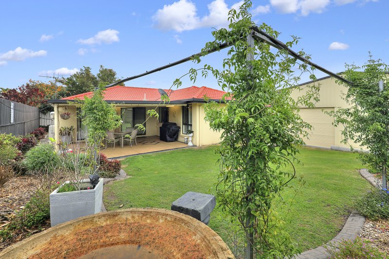 Photo - 26 Tropicana Drive, Avoca QLD 4670 - Image 21