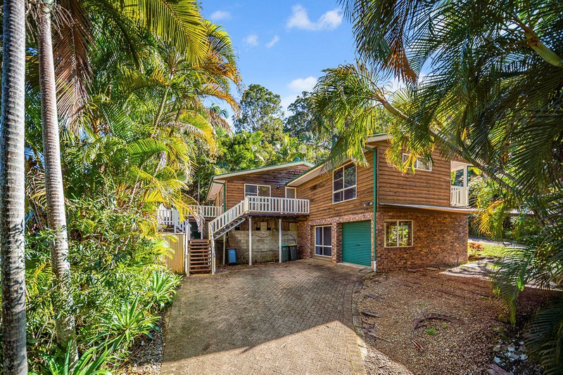 Photo - 26 Turnipwood Drive, Buderim QLD 4556 - Image 1