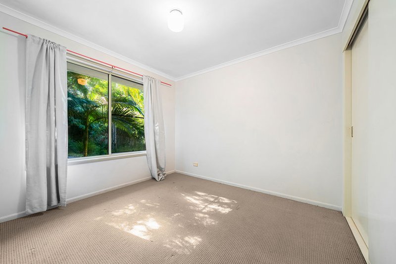 Photo - 26 Turnipwood Drive, Buderim QLD 4556 - Image 10