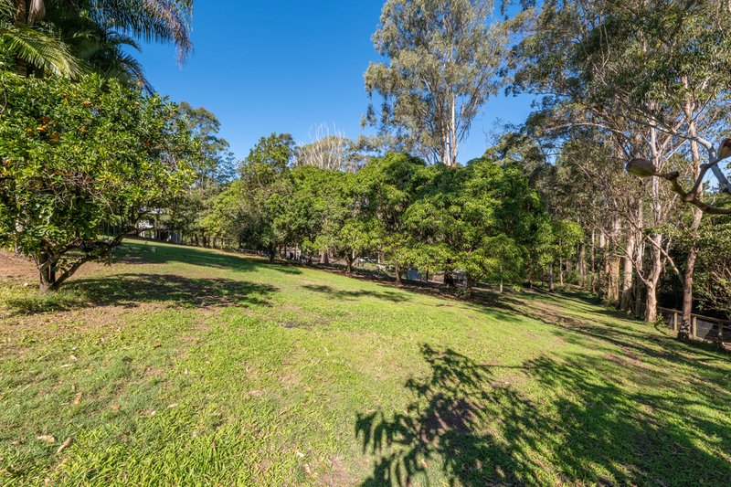 Photo - 260-264 Diddillibah Road, Diddillibah QLD 4559 - Image 3