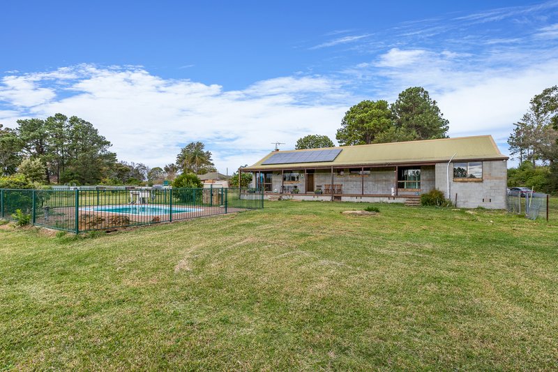 Photo - 260 Cabbage Tree Road, Williamtown NSW 2318 - Image 3