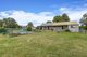 Photo - 260 Cabbage Tree Road, Williamtown NSW 2318 - Image 3