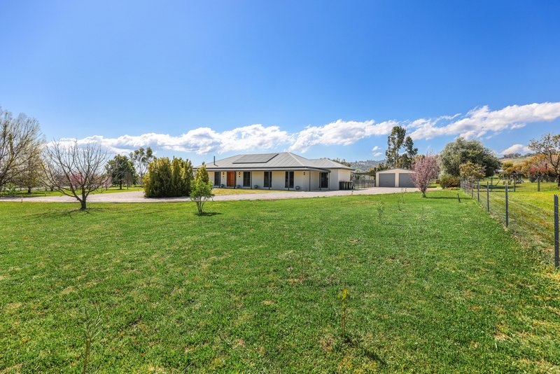 Photo - 260 Forest Road, Tamworth NSW 2340 - Image 6