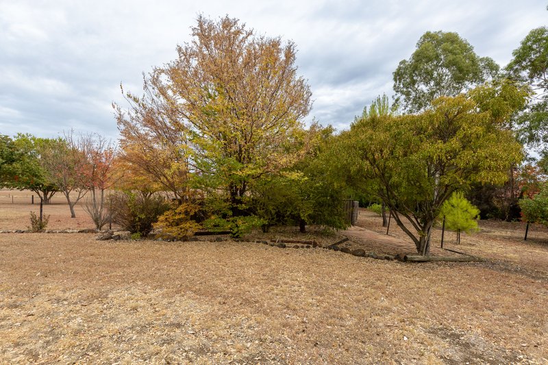 Photo - 260 Old Bundarra Road, Inverell NSW 2360 - Image 20