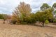 Photo - 260 Old Bundarra Road, Inverell NSW 2360 - Image 20
