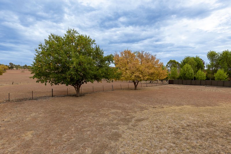 Photo - 260 Old Bundarra Road, Inverell NSW 2360 - Image 21