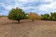 Photo - 260 Old Bundarra Road, Inverell NSW 2360 - Image 21