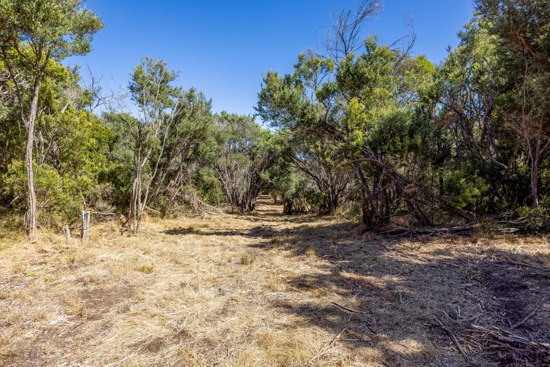 Photo - 260 Sandy Road, Fingal VIC 3939 - Image 10