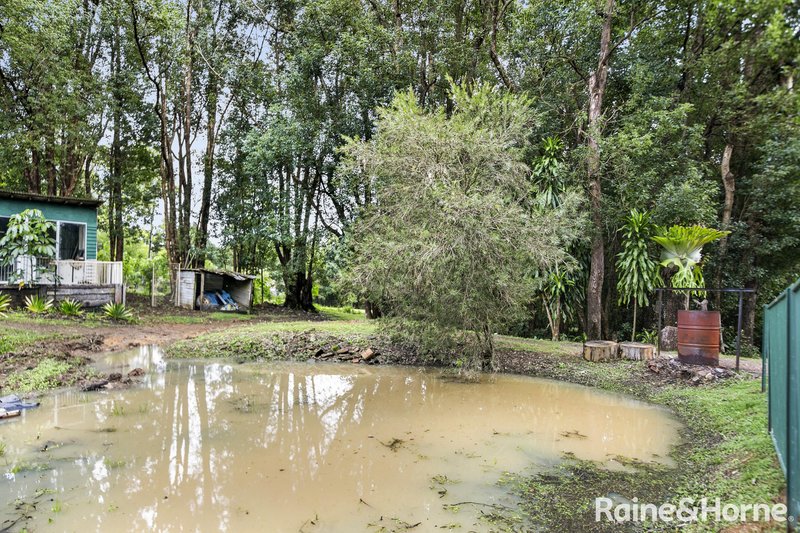 Photo - 260 Uhlmanns Road, Federal QLD 4568 - Image 13