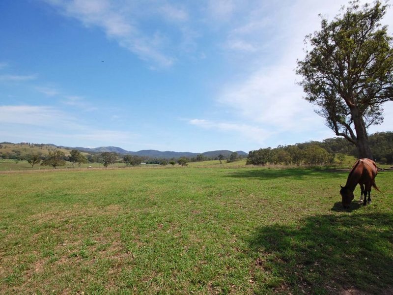 Photo - 260 Wherrol Flat Road, Wingham NSW 2429 - Image 17