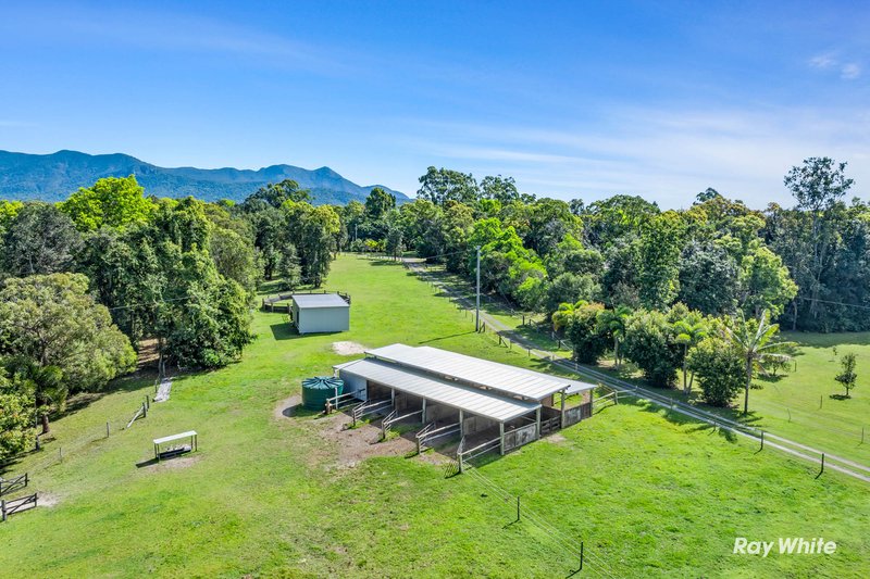 Photo - 260 Yaxleys Road, Byfield QLD 4703 - Image 22