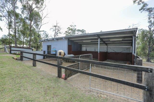 Photo - 261 Jim Whyte Way, Burua QLD 4680 - Image 6