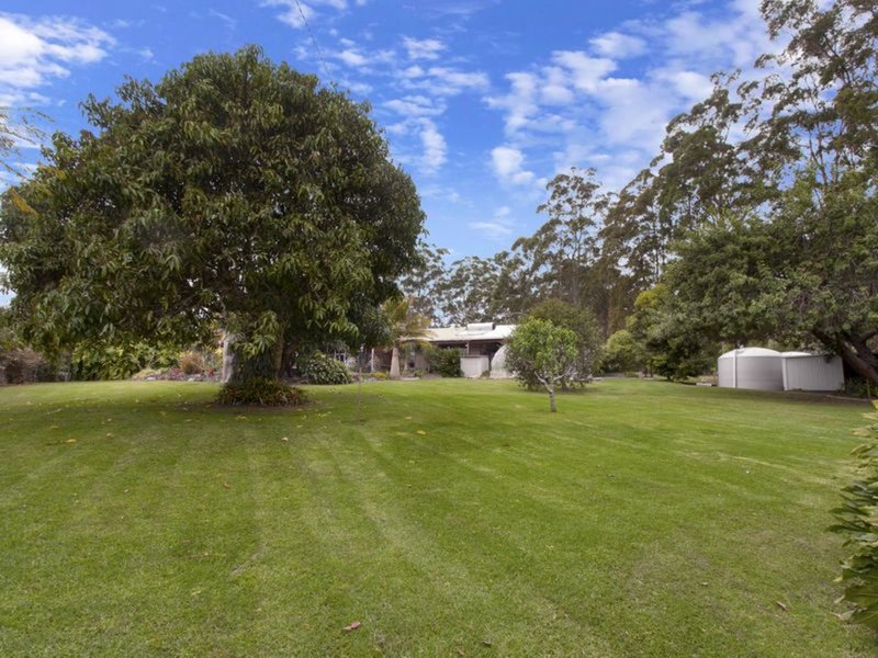 Photo - 261 Mardells Road, Bucca NSW 2450 - Image 13