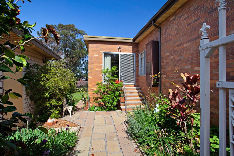 Photo - 261 Paterson Road, Bolwarra Heights NSW 2320 - Image 12