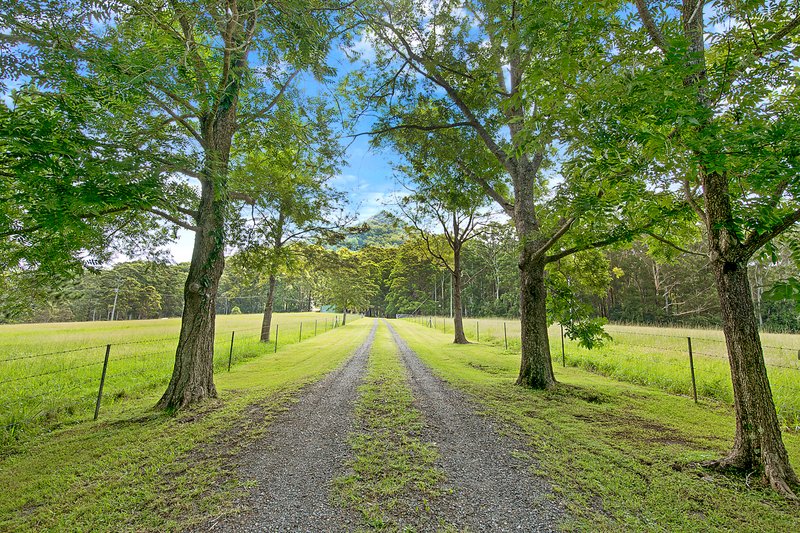 261 Riddles Brush Road, Johns River NSW 2443