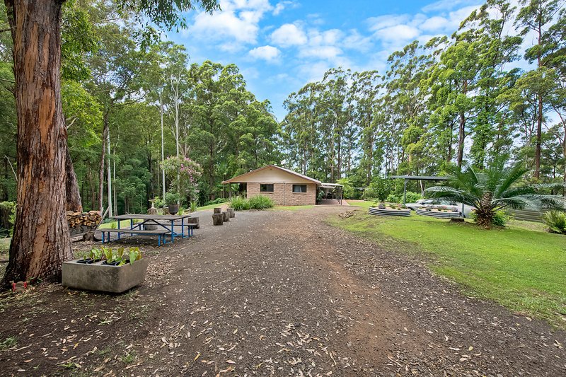 Photo - 261 Riddles Brush Road, Johns River NSW 2443 - Image 14