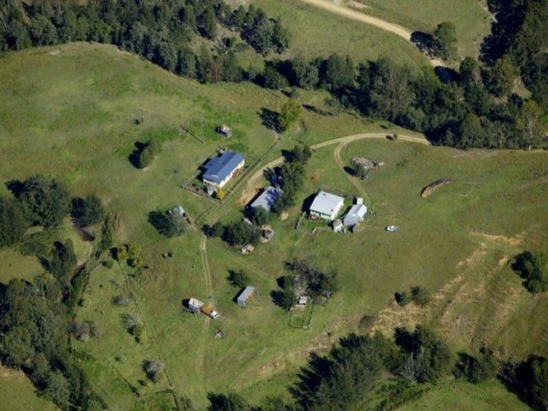 Photo - 2614 Carrowbrook Road, Carrowbrook NSW 2330 - Image 3