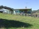 Photo - 2614 Carrowbrook Road, Carrowbrook NSW 2330 - Image 7