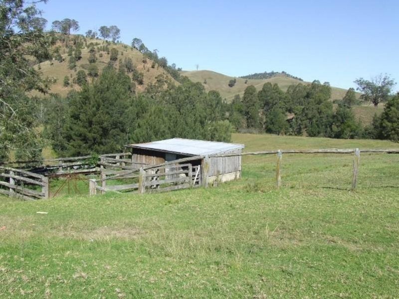 Photo - 2614 Carrowbrook Road, Carrowbrook NSW 2330 - Image 11