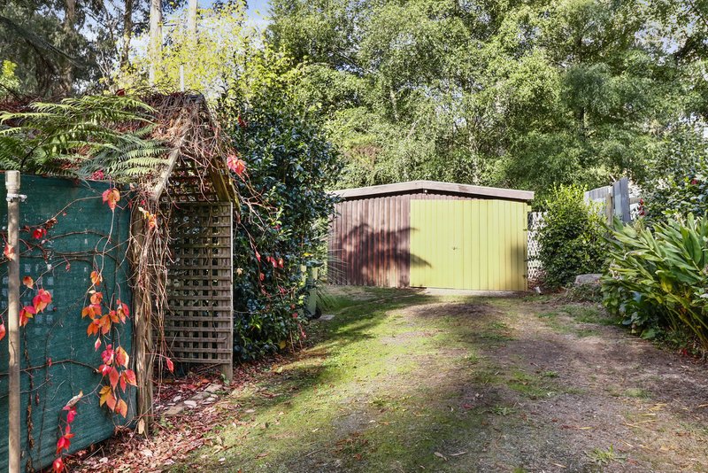 Photo - 262 Big Pats Creek Road, Big Pats Creek VIC 3799 - Image 17