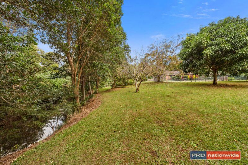 Photo - 262 Coramba Road, Coffs Harbour NSW 2450 - Image 25