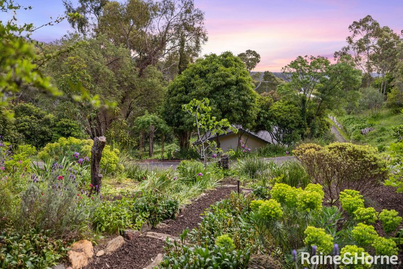 Photo - 262 Mount Barker Road, Leawood Gardens SA 5150 - Image 6