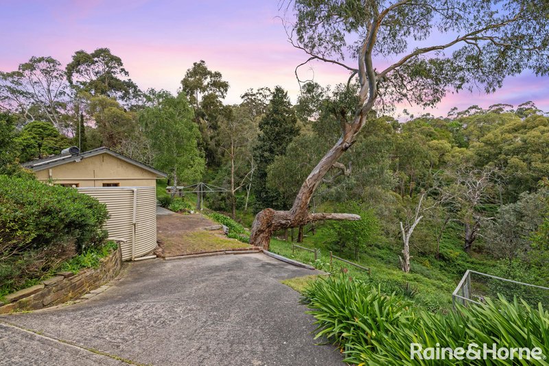 Photo - 262 Mount Barker Road, Leawood Gardens SA 5150 - Image 26