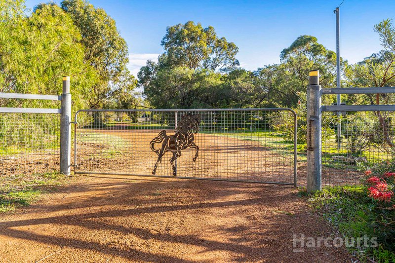 Photo - 262 Newnham Road, Lake Clifton WA 6215 - Image 3