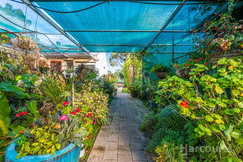 Photo - 262 Newnham Road, Lake Clifton WA 6215 - Image 16