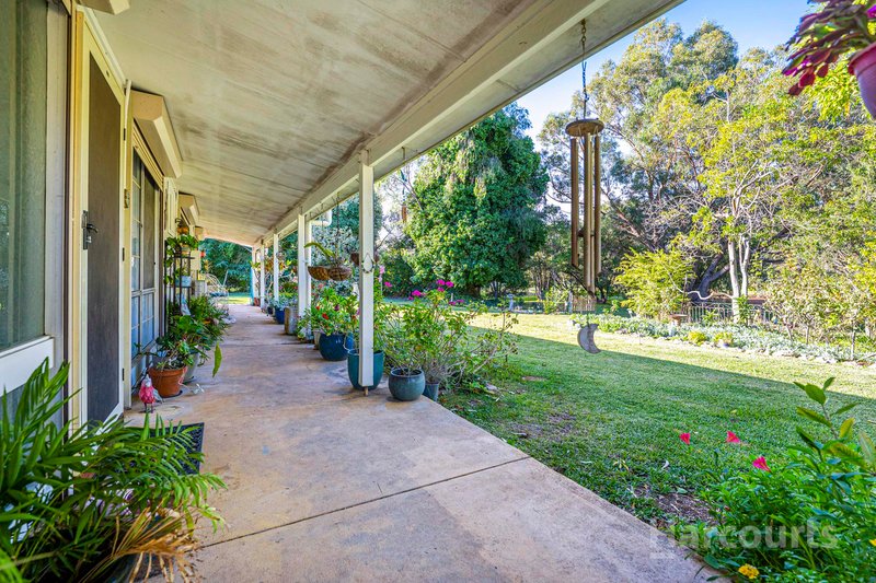 Photo - 262 Newnham Road, Lake Clifton WA 6215 - Image 24