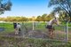 Photo - 262 Newnham Road, Lake Clifton WA 6215 - Image 29