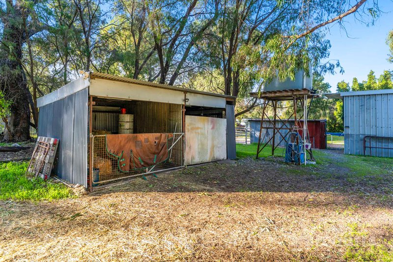 Photo - 262 Newnham Road, Lake Clifton WA 6215 - Image 31