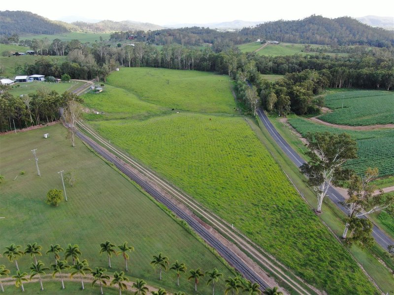 Photo - 262 Owens Creek Loop Road, Gargett QLD 4741 - Image 8