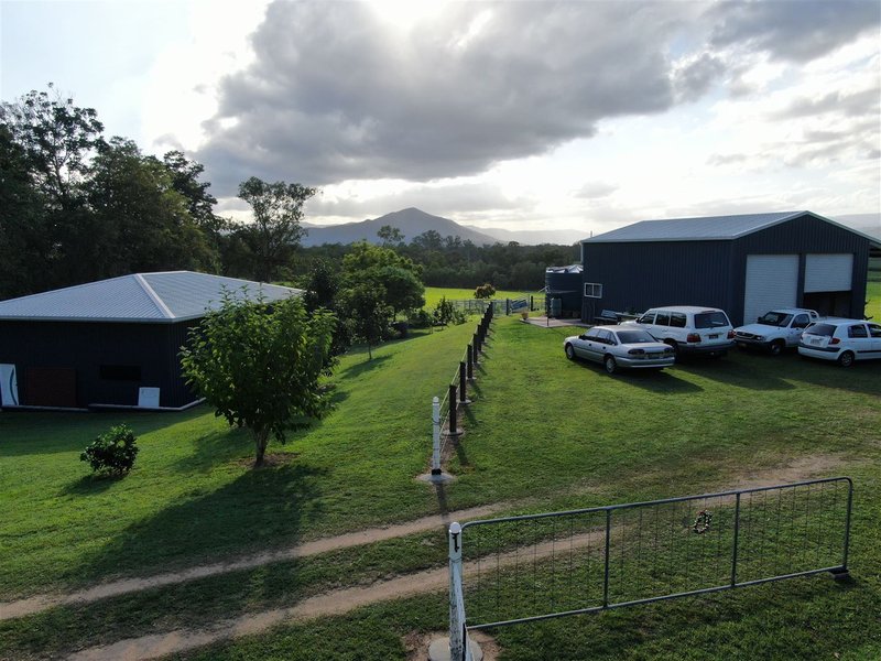 Photo - 262 Owens Creek Loop Road, Gargett QLD 4741 - Image 9