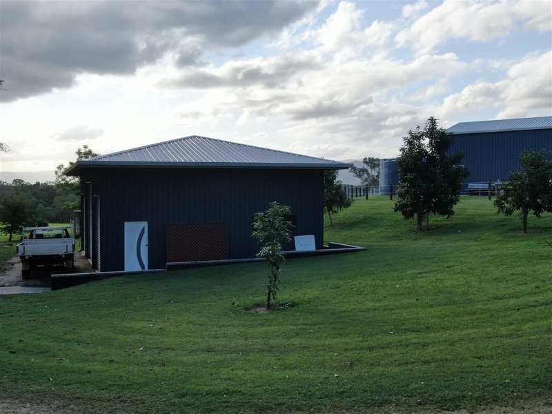 Photo - 262 Owens Creek Loop Road, Gargett QLD 4741 - Image 10