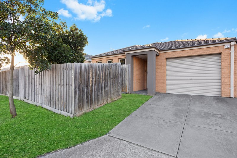 Photo - 262 The Lakes Boulevard, South Morang VIC 3752 - Image 10