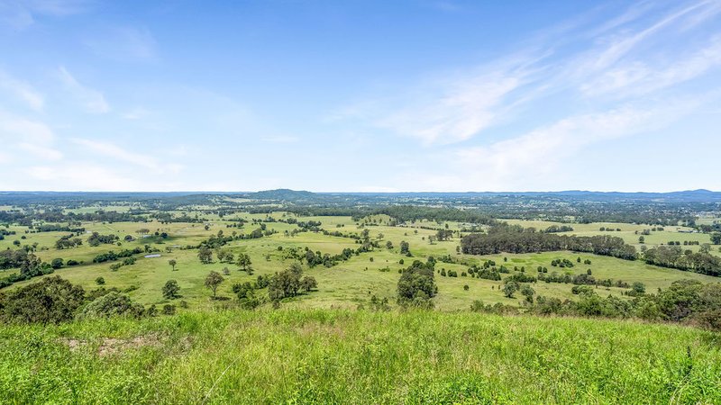 Photo - 262 Wallaby Joe Road, Wingham NSW 2429 - Image 9