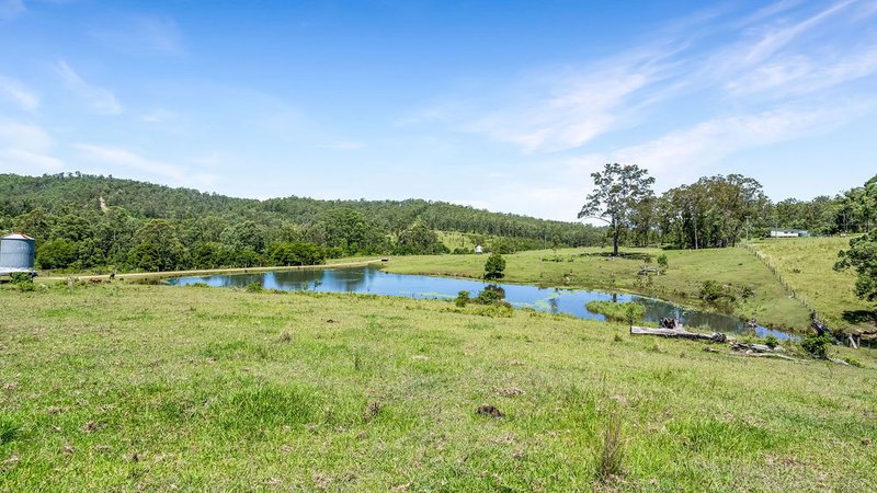 Photo - 262 Wallaby Joe Road, Wingham NSW 2429 - Image 12