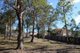 Photo - 26/25 Lang Street, Sunnybank Hills QLD 4109 - Image 29