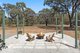 Photo - 263 Cherry Tree Road, Bailieston VIC 3608 - Image 17