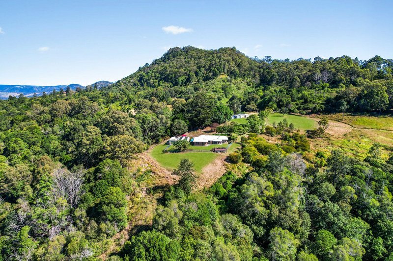 Photo - 263 Darlington Range Road, Witheren QLD 4275 - Image 1