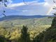 Photo - 263 Darlington Range Road, Witheren QLD 4275 - Image 10