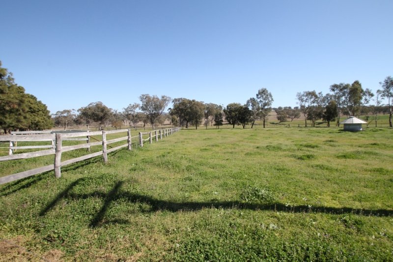 Photo - 264 Black Gully Road, Werris Creek NSW 2341 - Image 14