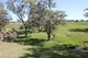 Photo - 264 Black Gully Road, Werris Creek NSW 2341 - Image 23