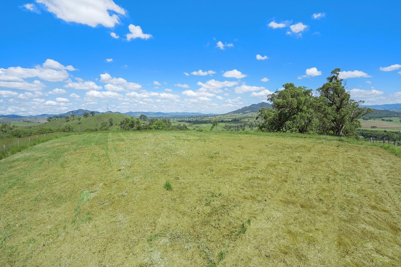 Photo - 264 Bowman Farm Road, Gloucester NSW 2422 - Image 20