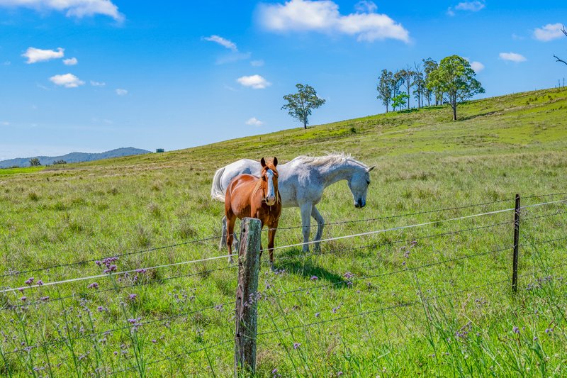 Photo - 264 Bowman Farm Road, Gloucester NSW 2422 - Image 34