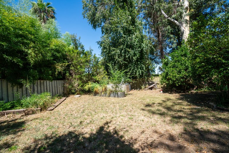 Photo - 264 Desmond Street, Lavington NSW 2641 - Image 14