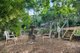 Photo - 264 Lakedge Ave , Berkeley Vale NSW 2261 - Image 12