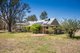Photo - 264 Plozzas Road, Upotipotpon VIC 3669 - Image 1