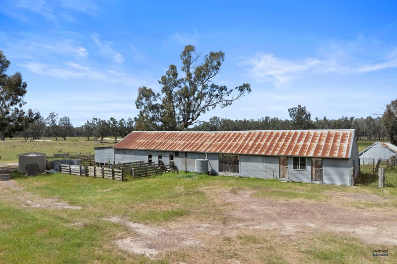 Photo - 264 Plozzas Road, Upotipotpon VIC 3669 - Image 21